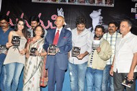 Madhumati Movie Audio Release